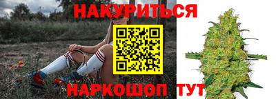 крисы Анжеро-Судженск