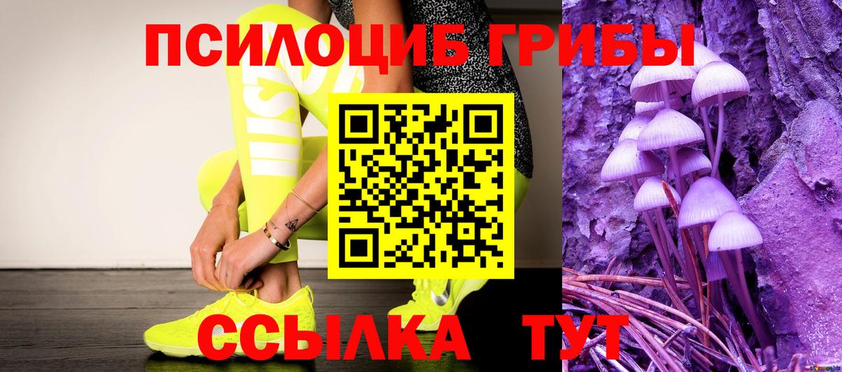 Псилоцибиновые грибы мухоморы  Вход с VPN  Заинск 